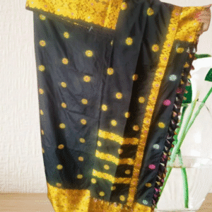 HANDLOOM SILK DOKHONA
